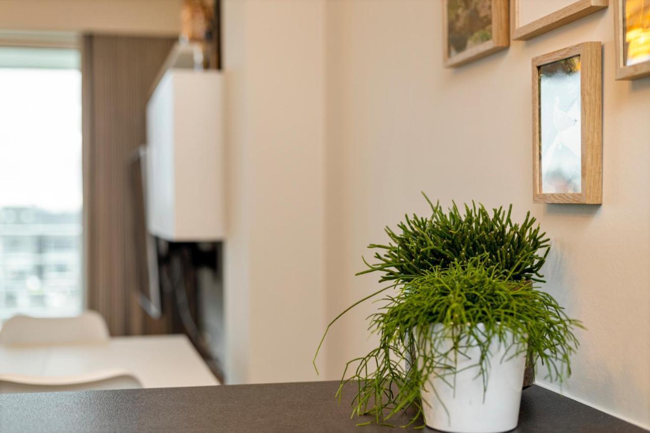 בלנקנברג Ruim Appartement Aan De Jachthaven מראה חיצוני תמונה